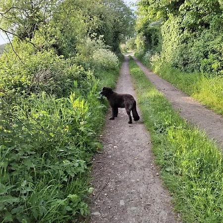 Deeside Manor Stabannan