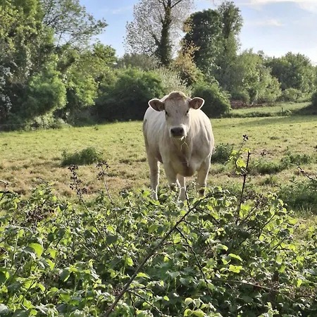 Deeside Manor 3* Stabannan