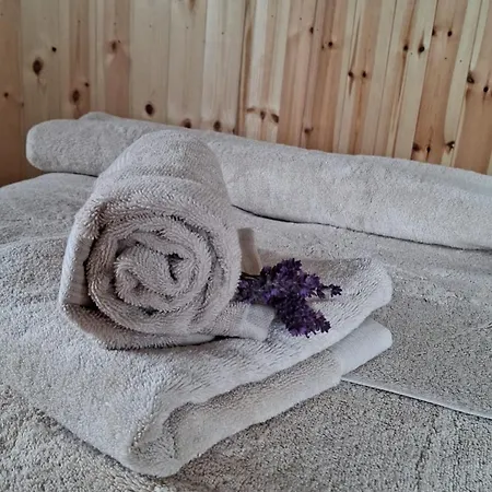 Bed & Breakfast Deeside Manor Stabannan