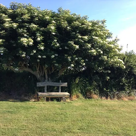 Couette-café Deeside Manor Stabannan