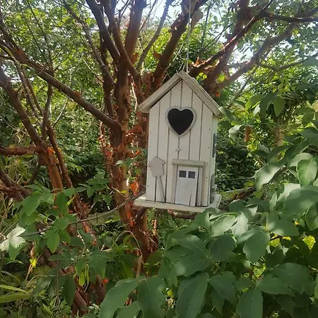 Deeside Manor Couette-café Stabannan