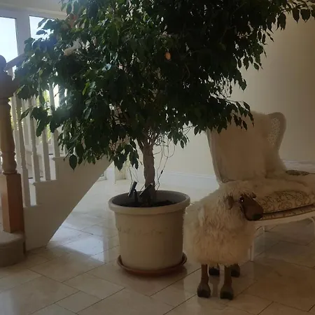 Deeside Manor Couette-café