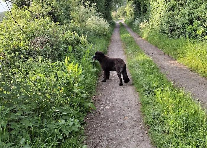 Deeside Manor Stabannan