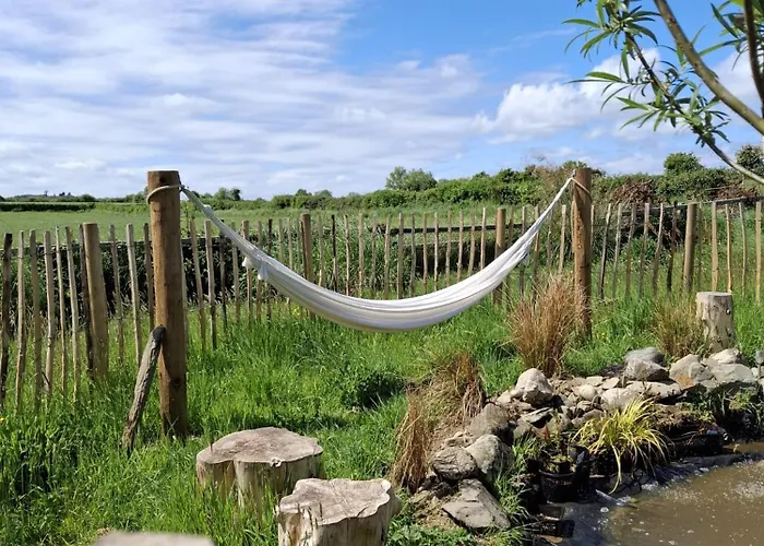 Bed & Breakfast Deeside Manor Stabannan