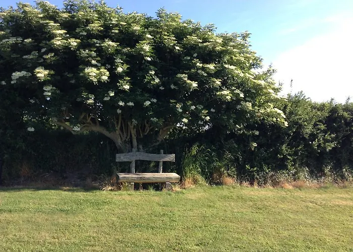 Bed & Breakfast Deeside Manor Stabannan