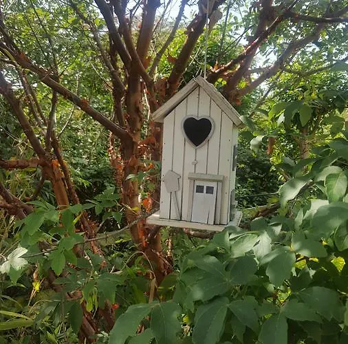 Deeside Manor Bed & Breakfast Stabannan